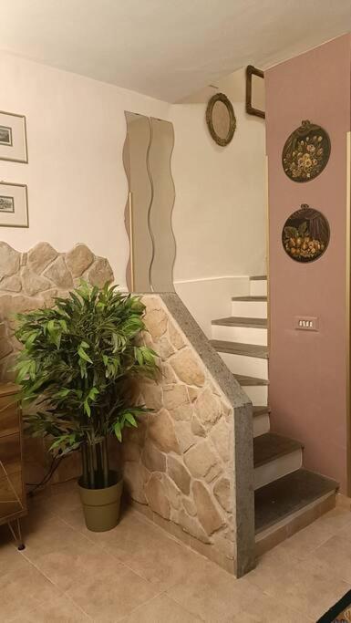 D'Amico Home Experience - Frosinone Centro Exterior photo
